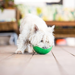 LickiMat Wobble Bowl green