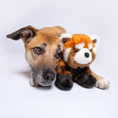 Fluff & Tuff Archie Red Panda