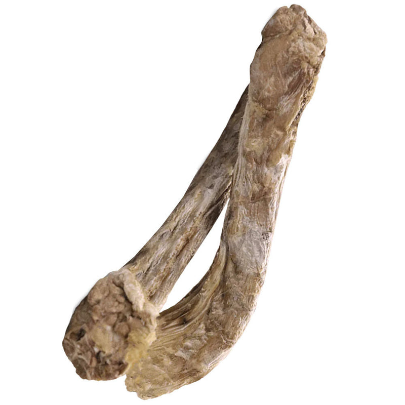 Northwest Naturals Freeze Dried Duck Necks for Dogs
