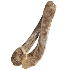 Northwest Naturals Freeze Dried Duck Necks for Dogs