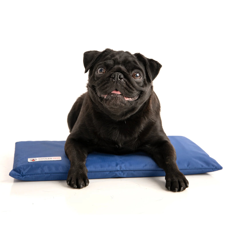 Cooler Dog Hydro Cooling Mat
