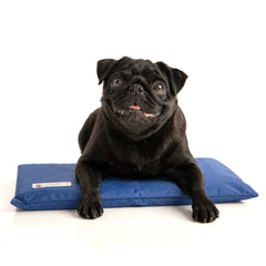 Cooler Dog Hydro Cooling Mat