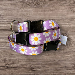 Lavender Daisy Dog Collars