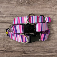 Purple & Pink Stripes Dog Collars
