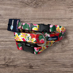 Aloha Dog Collar