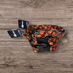 Jack O' Lantern Dog Collar