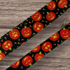 Jack O' Lantern Dog Collar