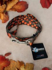 Jack O' Lantern Dog Collar