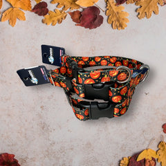 Jack O' Lantern Dog Collar