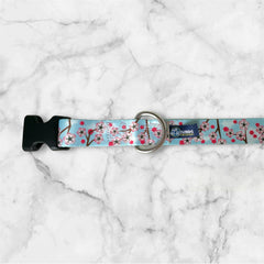 Cherry Blossoms Dog Collar