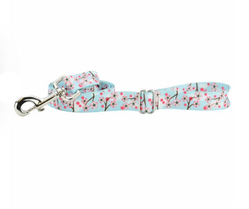 Cherry Blossoms Dog Collar