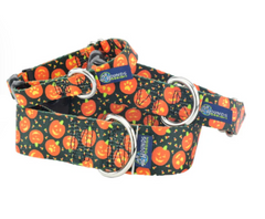 Jack O' Lantern Dog Collar