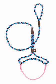 Mendota Dog Walker Martingale Lead Black