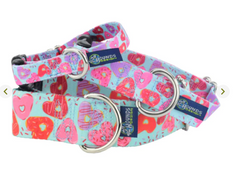 Sweet Sprinkles Dog Collars and/or Leash