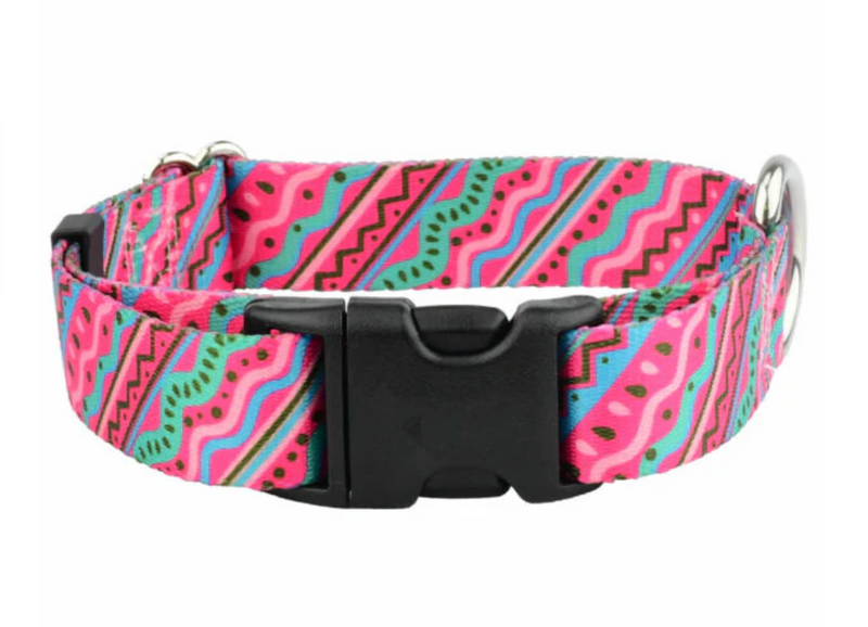 Welcome Back 1980s Dog Collars and/or Leash