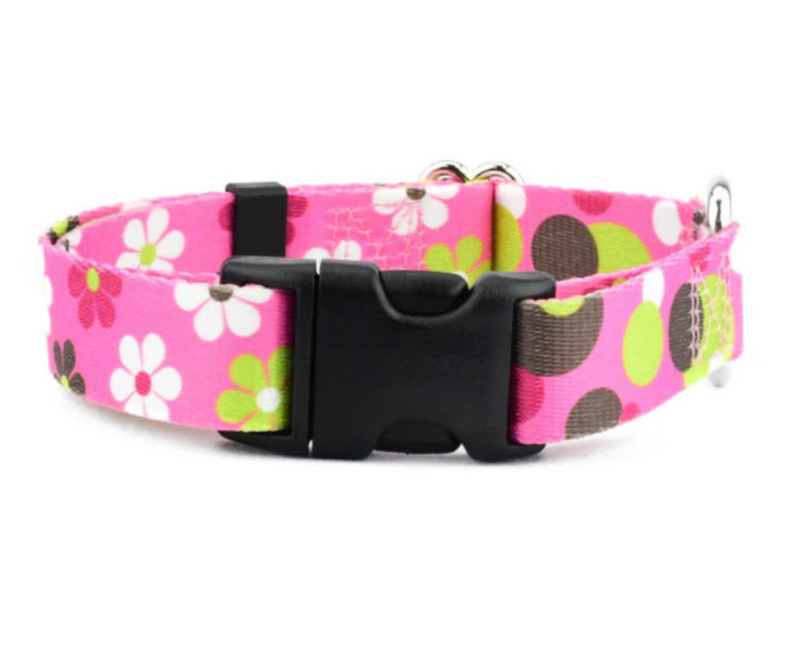 Daisy Dot Dog Collar and/or Leash