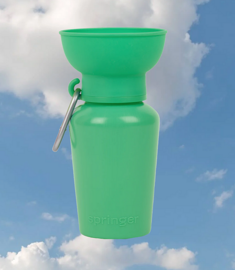 Springer Flip Dog Water Bottle Green