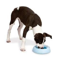 Cruising Companion Silicone Travel Bowl Small