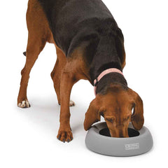 Cruising Companion Silicone Travel Bowl Small