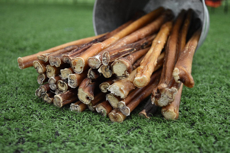 12" Bully Stick