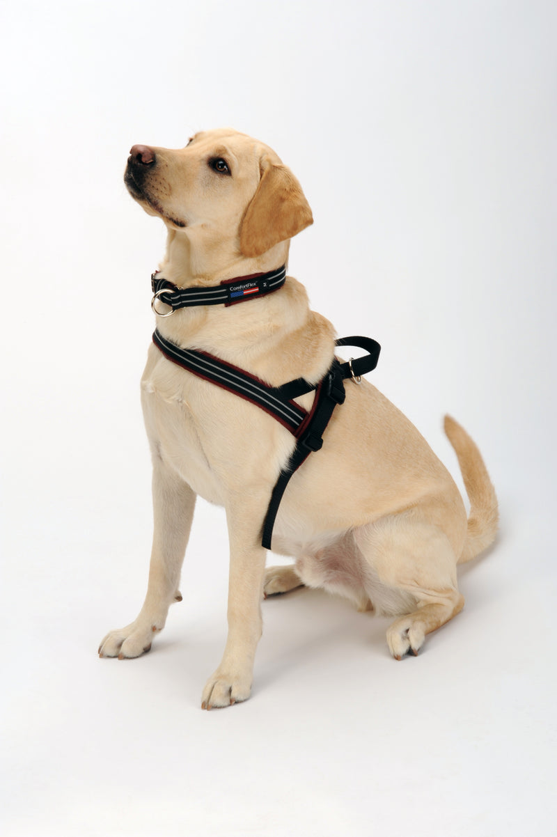 ComfortFlex Sport Harness Berry