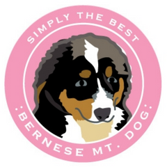 Simply the Best Car Magnet Bernese Mountain Dog