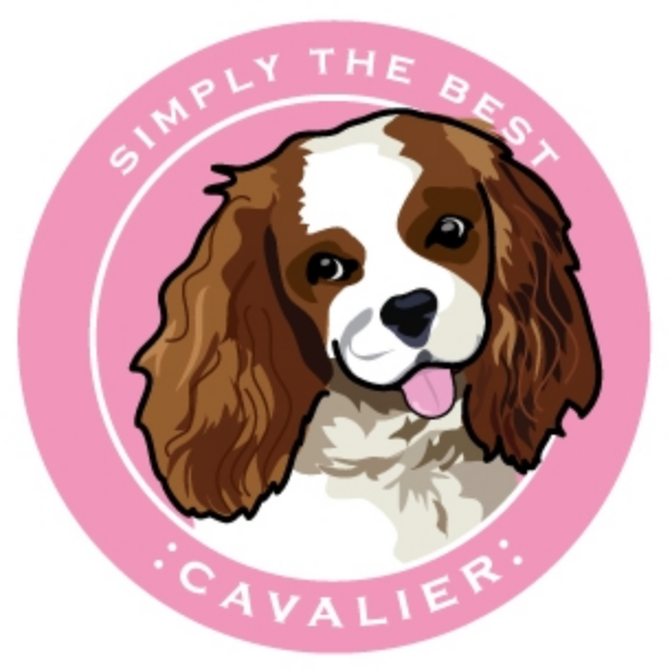 Simply the Best Car Magnet Bernese Mountain Dog
