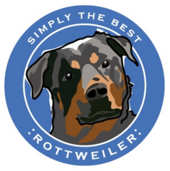 Simply the Best Car Magnet Bernese Mountain Dog