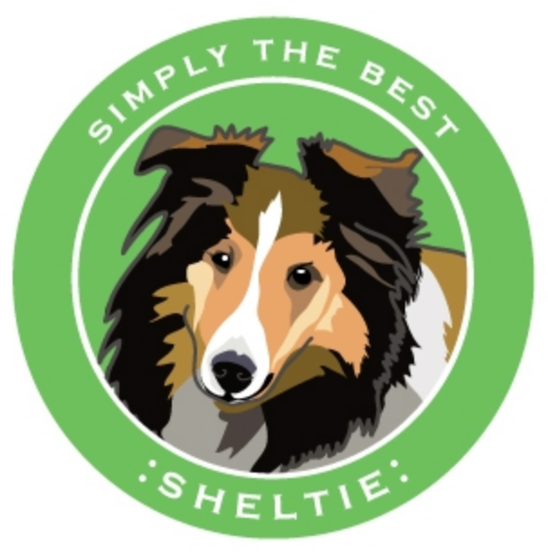 Simply the Best Car Magnet Bernese Mountain Dog