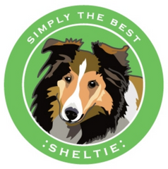 Simply the Best Car Magnet Bernese Mountain Dog