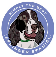 Simply the Best Car Magnet Bernese Mountain Dog