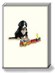 DogPride Box Note Cards Bernese Mountain Dog