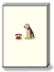 DogPride Box Note Cards Rat Terrier