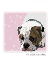 Paper Russells Boxed Note Cards - English Bulldog