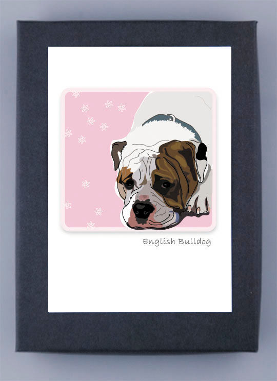 Paper Russells Boxed Note Cards - English Bulldog