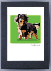 Paper Russells Boxed Note Cards - Dachshund