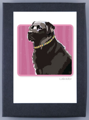Black Labrador Retriever Boxed Note Cards