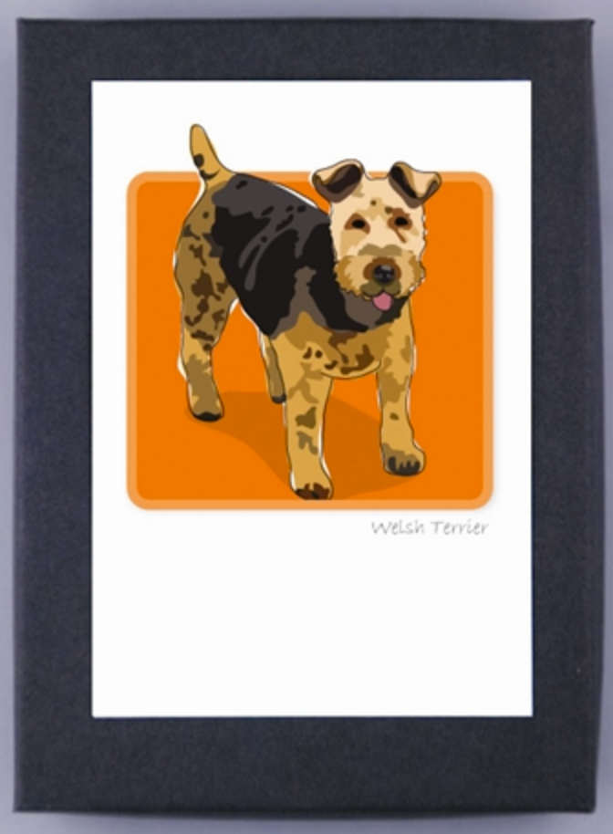 Paper Russells Boxed Note Cards Welsh Terrier