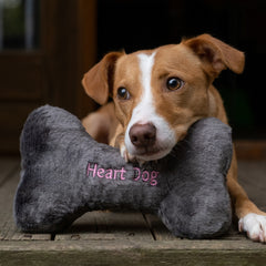 Fluff & Tuff Heart Dog Bone Toy