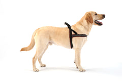 ComfortFlex Sport Harness Berry