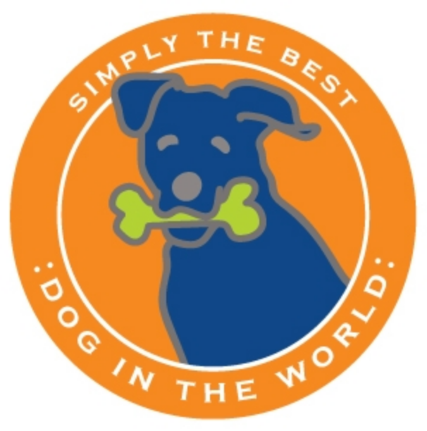 Simply the Best Car Magnet Bernese Mountain Dog