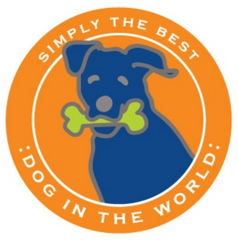 Simply the Best Car Magnet Bernese Mountain Dog