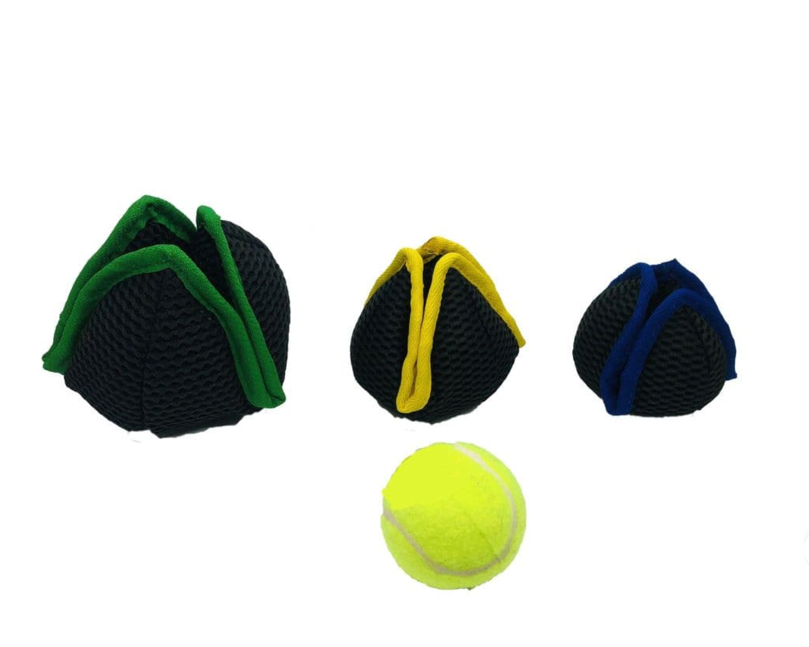 Paws pocket lotus ball 2025