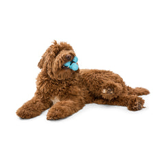 West Paw Tux Treat Toy Aqua Blue Large