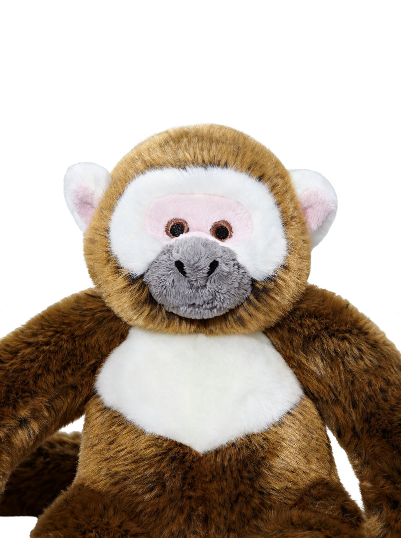 Fluff & Tuff Albert Monkey Dog Toy