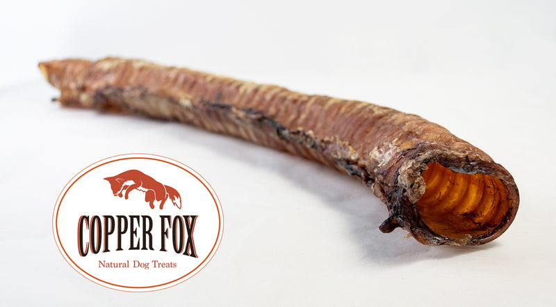 Copper Fox Beef Trachea Tubes XL