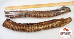 Copper Fox Beef Trachea Tubes XL