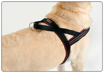 ComfortFlex Sport Harness Berry