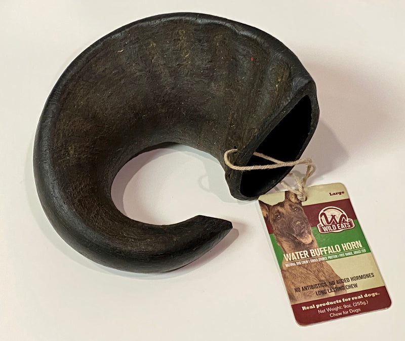 Water Buffalo Bully Horn Small