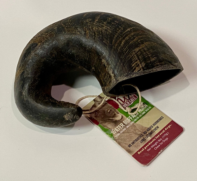 Water Buffalo Bully Horn Small